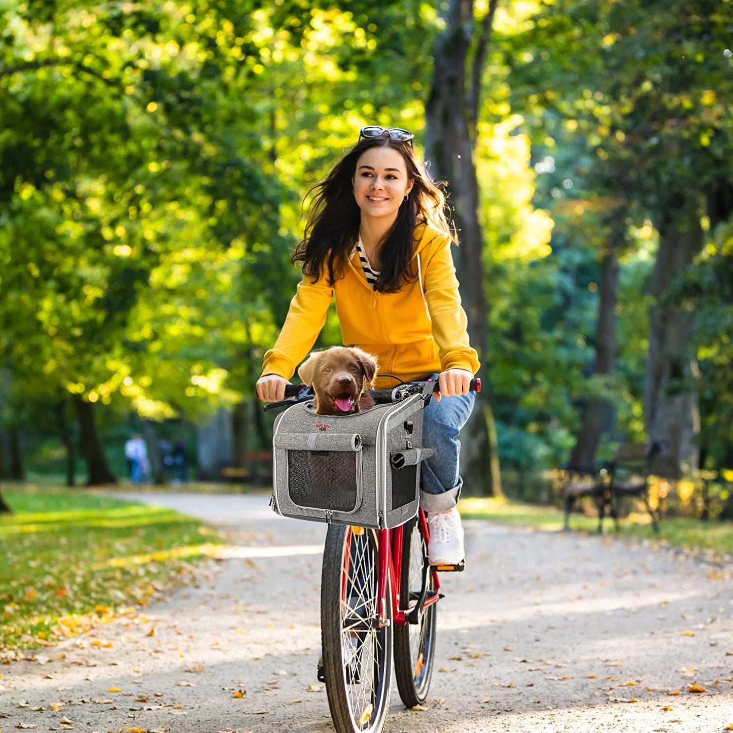 Cozy Cruiser Expandable Pet Bike Basket - Grey