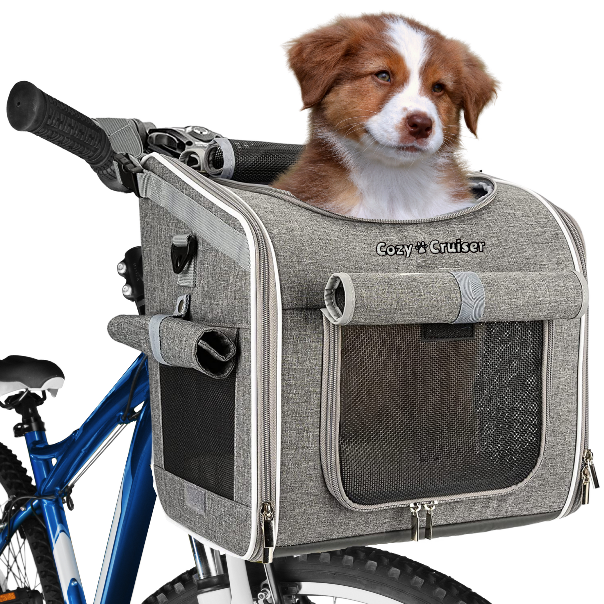 Cruiser with basket deals