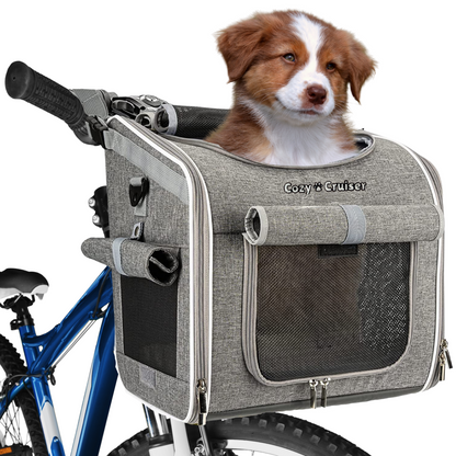 Beach cruiser bike with dog basket sale